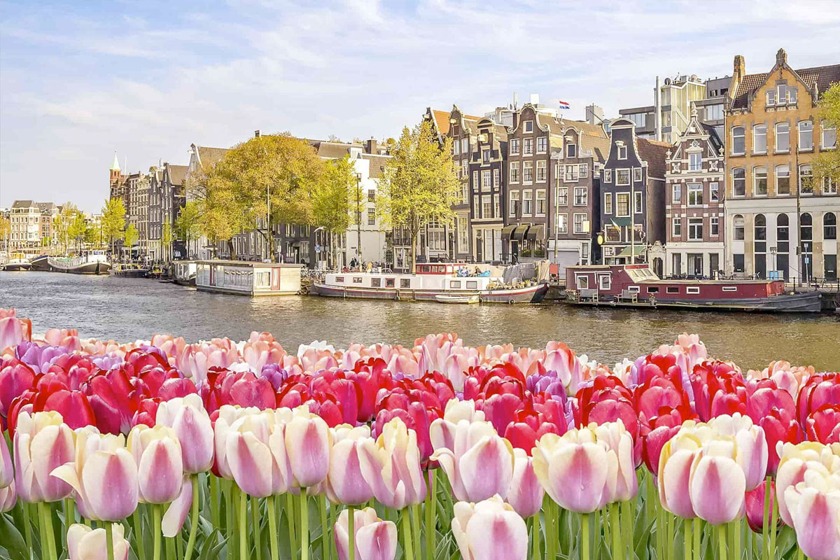 koerier amsterdam